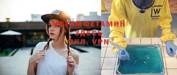 прущие грибы Балабаново