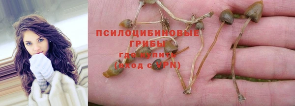 дурь Балахна