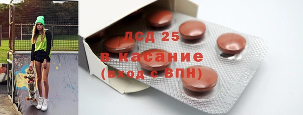 прущие грибы Балабаново
