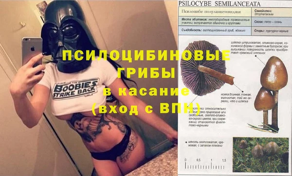 прущие грибы Балабаново