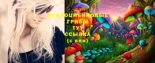 бутират Баксан