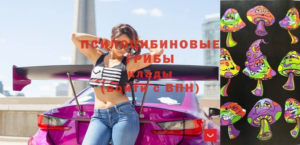 прущие грибы Балабаново