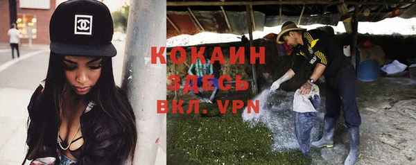 прущие грибы Балабаново