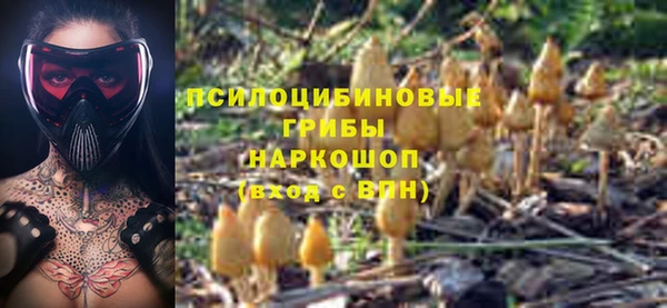 прущие грибы Балабаново