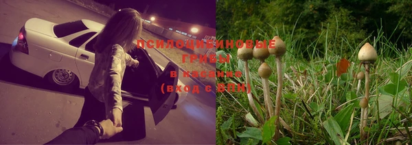 бутират Баксан