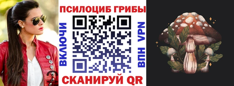 Галлюциногенные грибы Cubensis  Рыбинск 