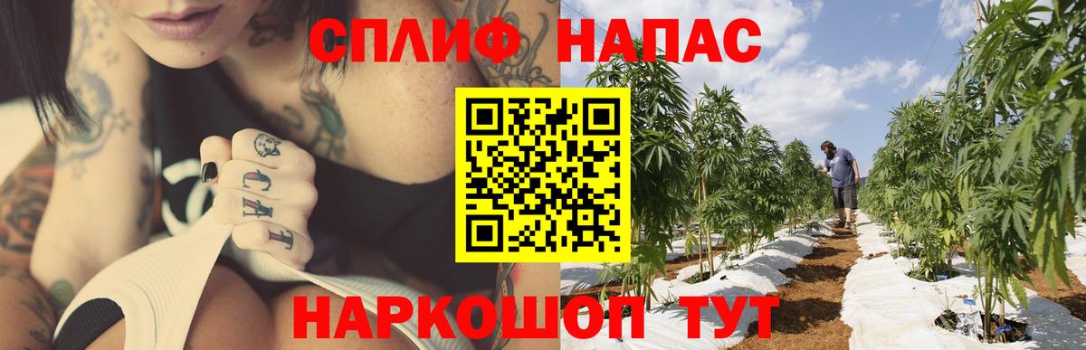Рыбинск  Марихуана White Widow  Вход с VPN  Марихуана Amnesia  Канабис VHQ 